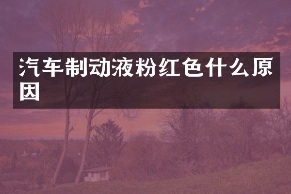 汽车制动液粉红色什么原因