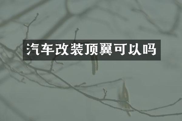 汽车改装顶翼可以吗