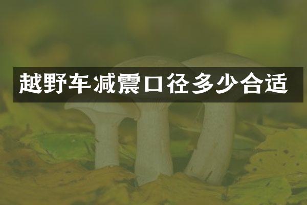 越野车减震口径多少合适