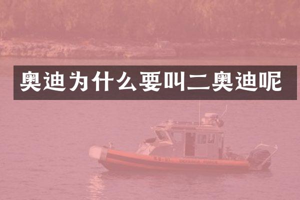 奥迪为什么要叫二奥迪呢