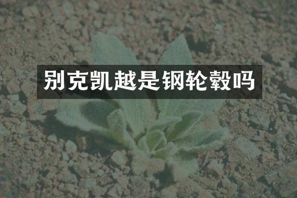 别克凯越是钢轮毂吗