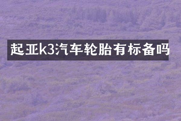 起亚k3汽车轮胎有标备吗