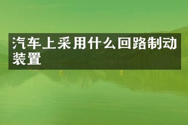 汽车上采用什么回路制动装置