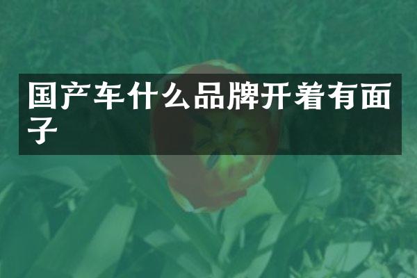 国产车什么品牌开着有面子