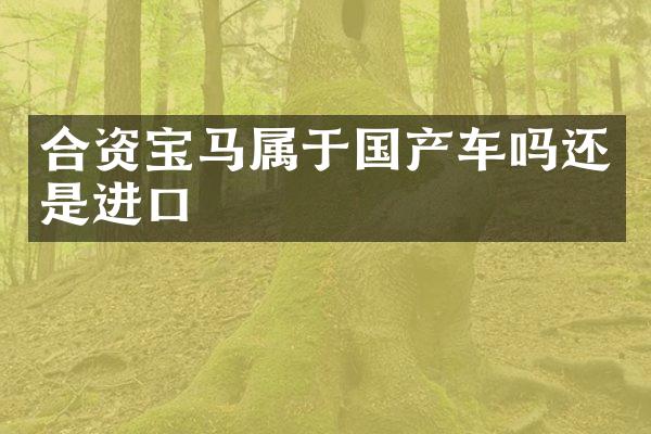 合资宝马属于国产车吗还是进口