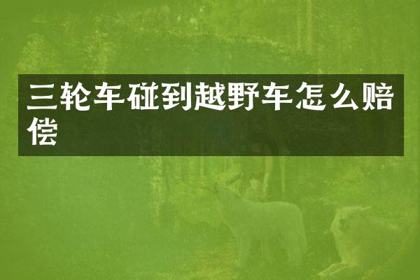 三轮车碰到越野车怎么赔偿