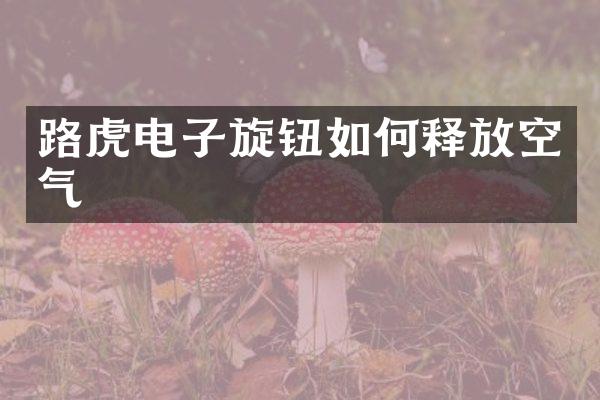 路虎电子旋钮如何释放空气