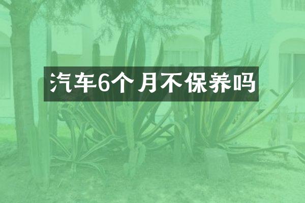 汽车6个月不保养吗