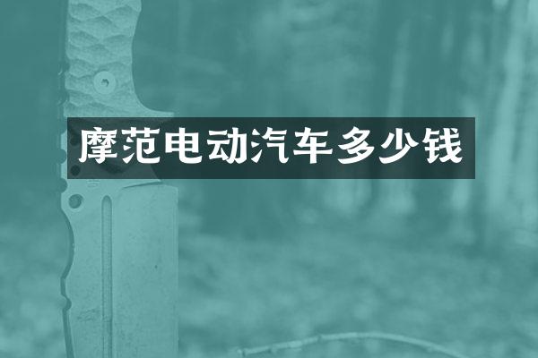 摩范电动汽车多少钱