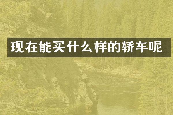 现在能样的轿车呢