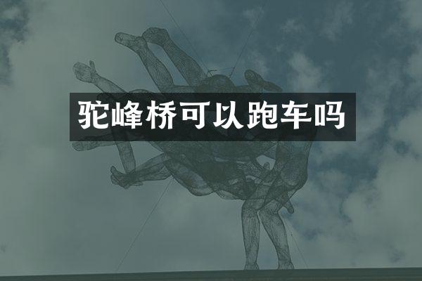 驼峰桥可以跑车吗