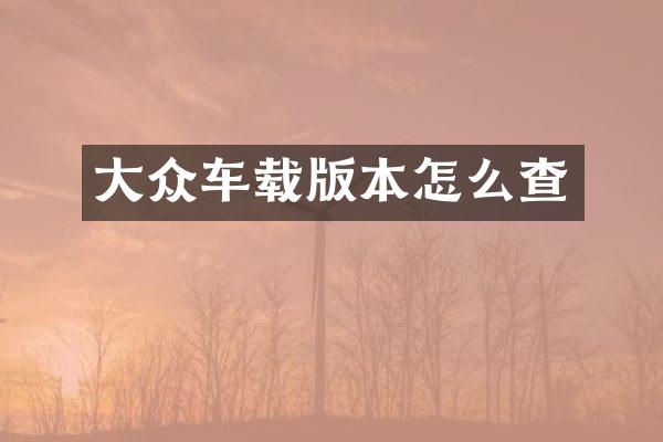大众车载版本怎么查