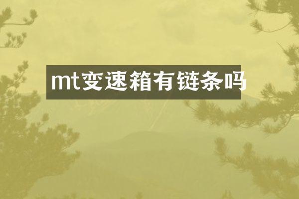 mt变速箱有链条吗