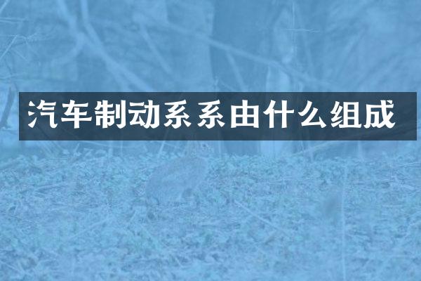 汽车制动系系由什么组成