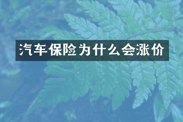 汽车保险为什么会涨价