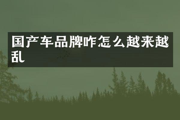 国产车品牌咋怎么越来越乱