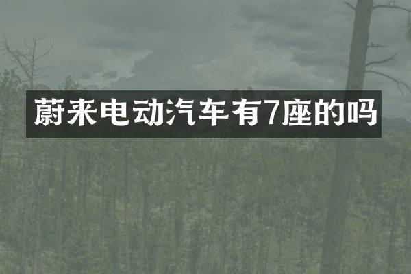 蔚来电动汽车有7座的吗