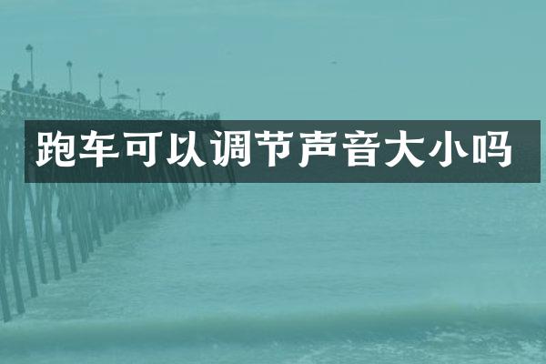 跑车可以调节声音大小吗