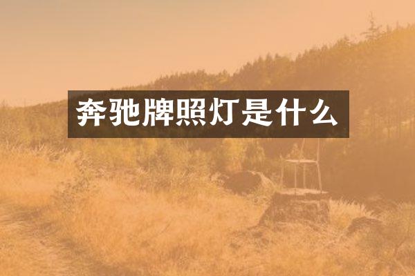 奔驰牌照灯是什么