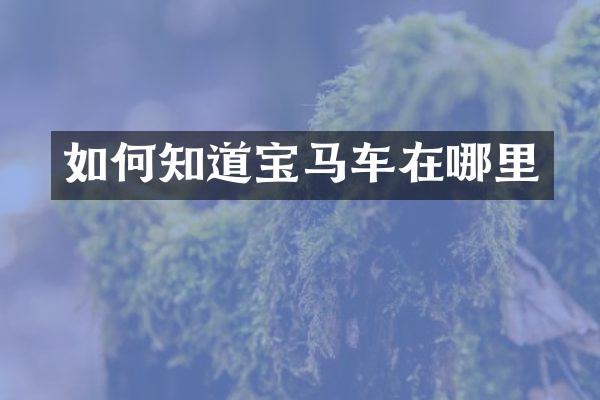 如何知道宝马车在哪里