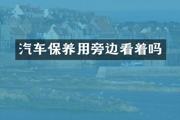 汽车保养用旁边看着吗