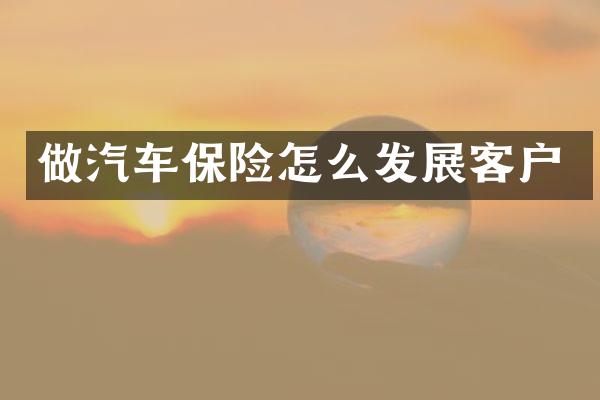 做汽车保险怎么发展客户