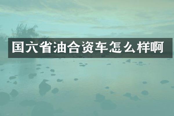 国六省油合资车怎么样啊
