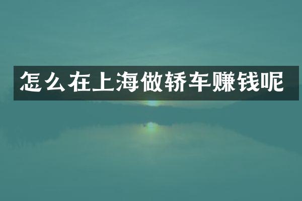 怎么在上海做轿车赚钱呢