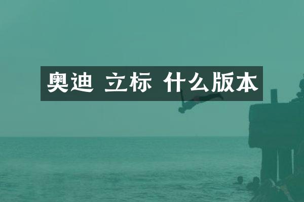 奥迪 立标 什么版本