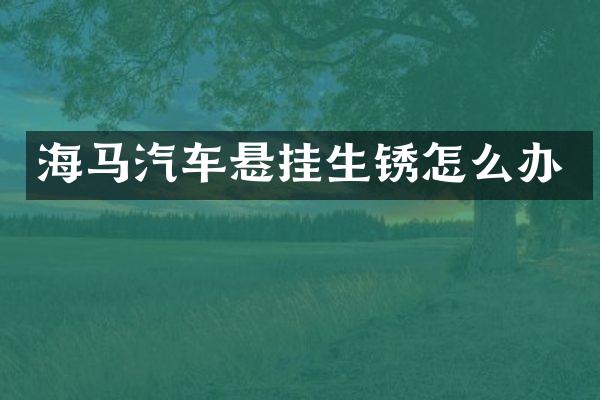 海马汽车悬挂生锈怎么办