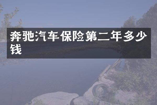 奔驰汽车保险第二年多少钱