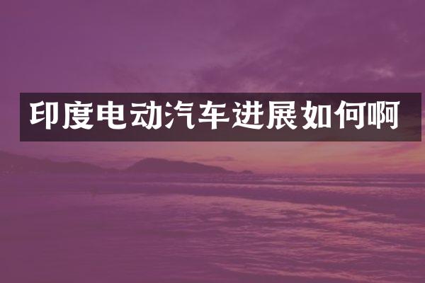 印度电动汽车进展如何啊