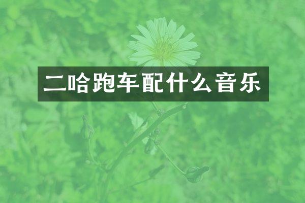 二哈跑车音乐