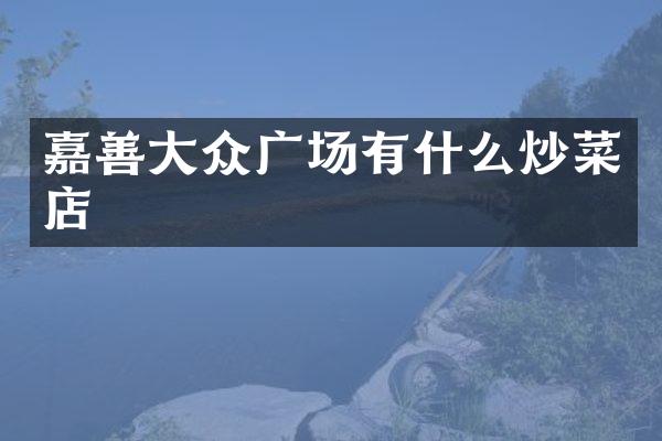 嘉善大众广场有什么炒菜店