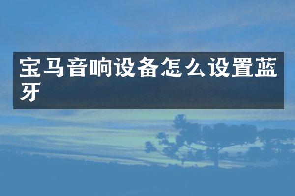 宝马音响设备怎么设置蓝牙