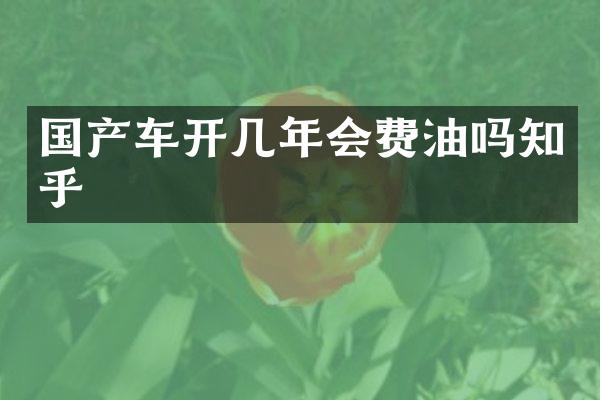 国产车开几年会费油吗知乎