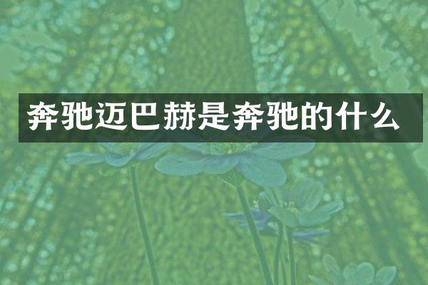 奔驰迈巴赫是奔驰的什么