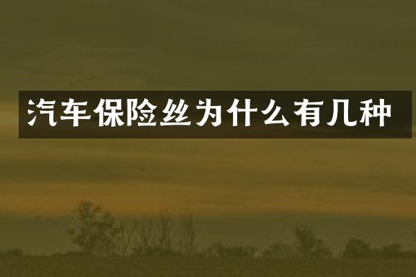 汽车保险丝为什么有几种