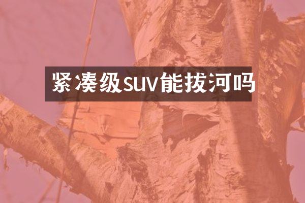 紧凑级suv能拔河吗