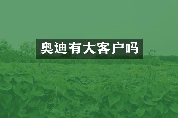 奥迪有大客户吗
