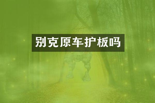 别克原车护板吗