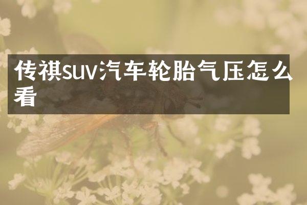 传祺suv汽车轮胎气压怎么看