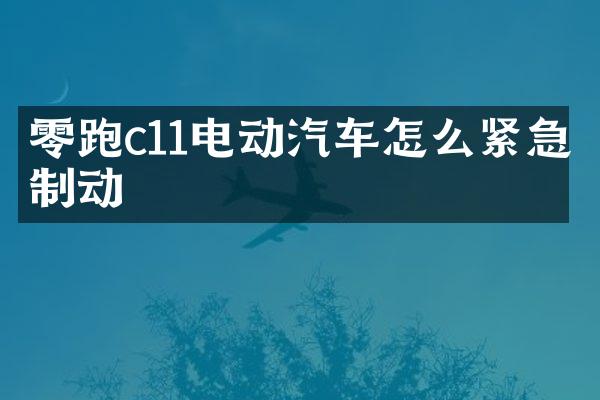 零跑c11电动汽车怎么紧急制动