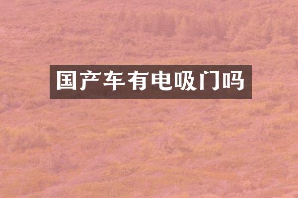 国产车有电吸门吗