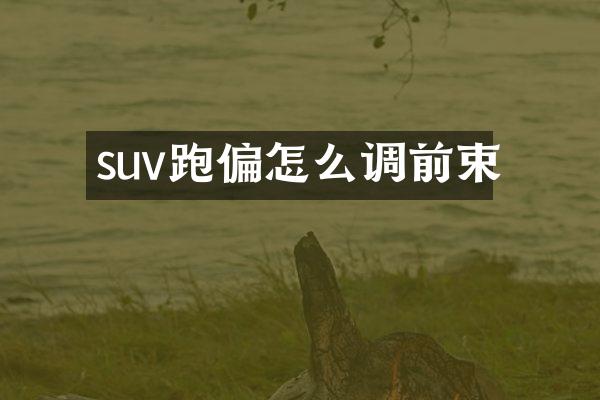 suv跑偏怎么调前束
