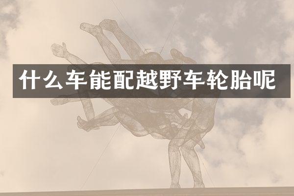 什么车能配越野车轮胎呢