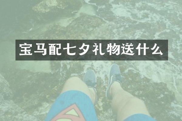 宝马配七夕礼物送什么