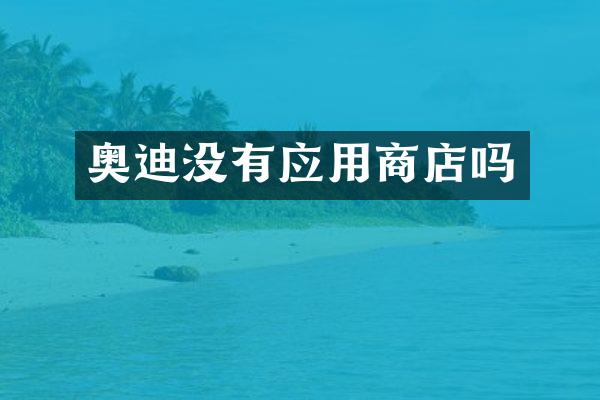 奥迪没有应用商店吗