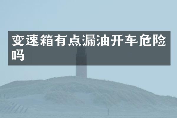 变速箱有点漏油开车危险吗
