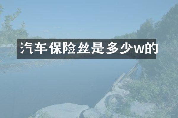 汽车保险丝是多少w的